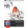 Szkicownik Oxford artystyczny A4/40/160g - 2